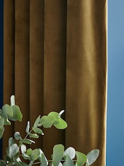 Cortinas de terciopelo mate - Imagen 6 de 8