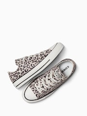 Converse Leopard Print Chuck Taylor Low Trainers - Image 10 of 13