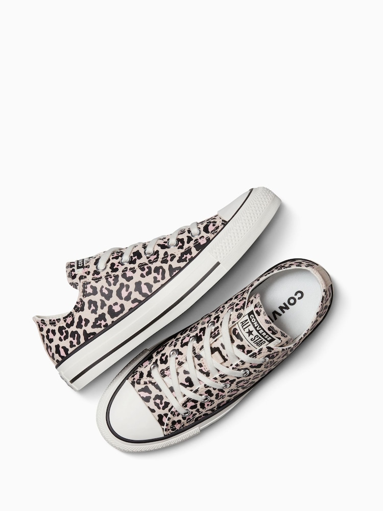 Buy Converse Leopard Print Chuck Taylor Low Trainers from Next Oman