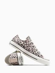 Converse Leopard Print Chuck Taylor Low Trainers - Image 5 of 13