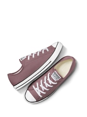 Converse Brown Dainty Trainers - Image 7 of 8
