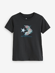 Converse Nature Star Chevron Graphic Print 100% Cotton T-Shirt - Изображение 1 из 1