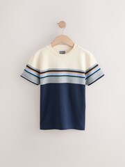 Navy Taupe Stripe Crew 100% Cotton T-Shirt - Image 1 of 4