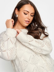 Yours Curve Natural Pointelle Mesh Stitch Jumper - Image 4 of 4