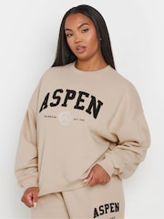 Yours Curve Natural Appliqué Apsen Crew Neck Jumper - Image 5 of 6
