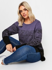 Yours Curve Purple Colourblock Jumper - Image 1 of 4