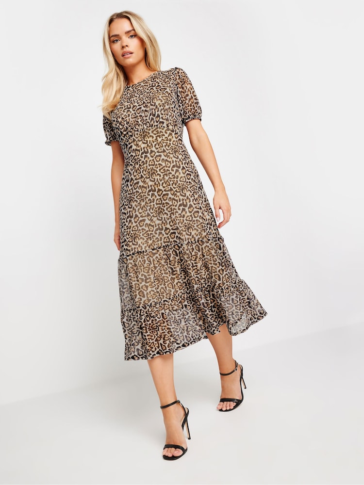 PixieGirl Petite Brown Petite Leopard Animal Print Short Sleeve Mesh Dress - Image 1 of 5 PixieGirl Petite Brown Petite Leopard Animal Print Short Sleeve Mesh Dress - Image 1 of 5