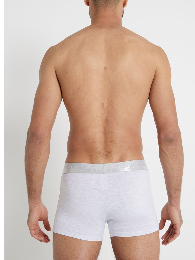 River Island Grey Cotton Stretch Trunks 10 Pack - Image 4 of 4 River Island Grey Cotton Stretch Trunks 10 Pack - Image 4 of 4