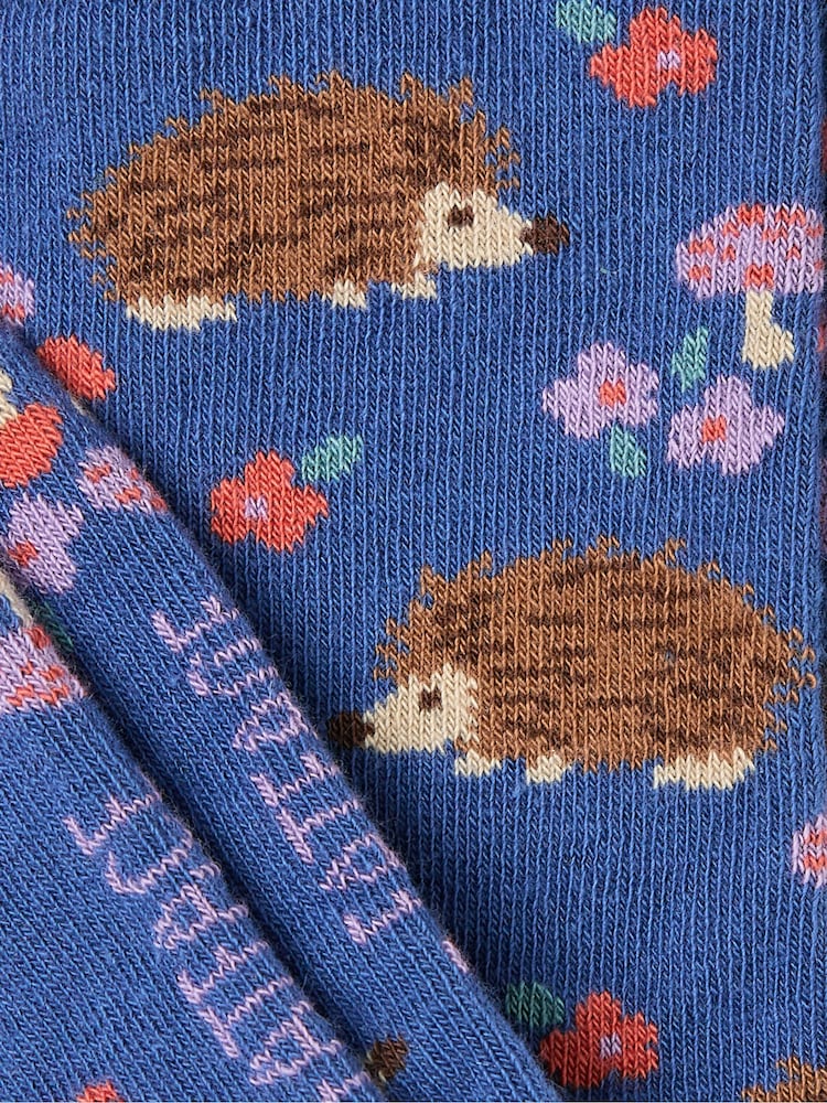 Azul con erizo - Calcetines para mujer de FatFace - Imagen 2 de 2 Azul con erizo - Calcetines para mujer de FatFace - Imagen 2 de 2
