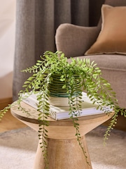 Green Artificial Trailing Plant In Reactive Ceramic Pot - Image 1 of 4