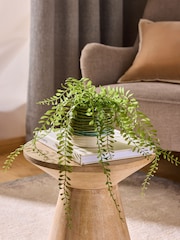 Green Artificial Trailing Plant In Reactive Ceramic Pot - Image 2 of 4