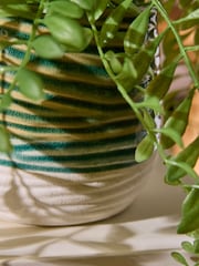 Green Artificial Trailing Plant In Reactive Ceramic Pot - Image 3 of 4