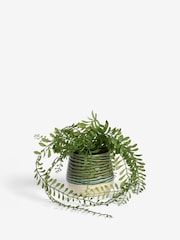 Green Artificial Trailing Plant In Reactive Ceramic Pot - Image 4 of 4