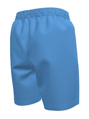 Nike Essentials 6 Inch Volley Swim Shorts - Imagen 2 de 3