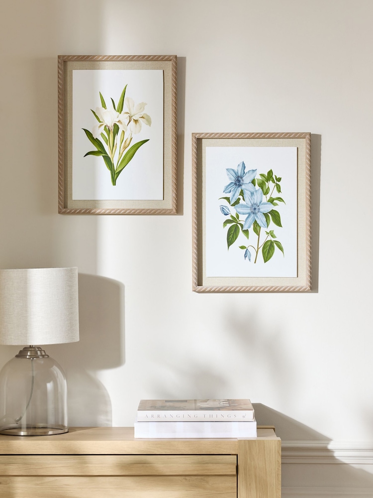 Set of 2 Floral Archive Framed Wall Arts - Изображение 1 из 5 Set of 2 Floral Archive Framed Wall Arts - Изображение 1 из 5