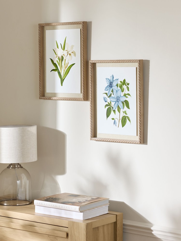 Set of 2 Floral Archive Framed Wall Arts - Изображение 2 из 5 Set of 2 Floral Archive Framed Wall Arts - Изображение 2 из 5