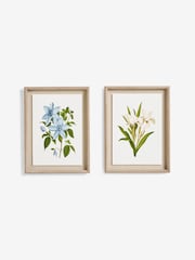 Set of 2 White Floral Archive Framed Wall Arts - Image 4 of 5