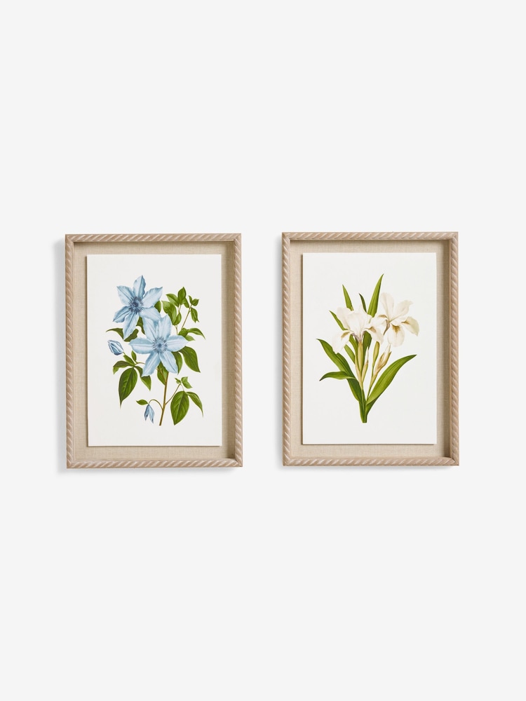 Set of 2 White Floral Archive Framed Wall Arts - Image 4 of 5