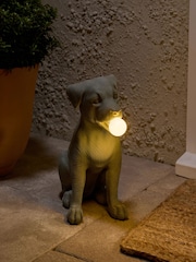 Grey Saffy the Staffy Outdoor Solar Light - Image 1 of 5