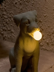Grey Saffy the Staffy Outdoor Solar Light - Image 2 of 5