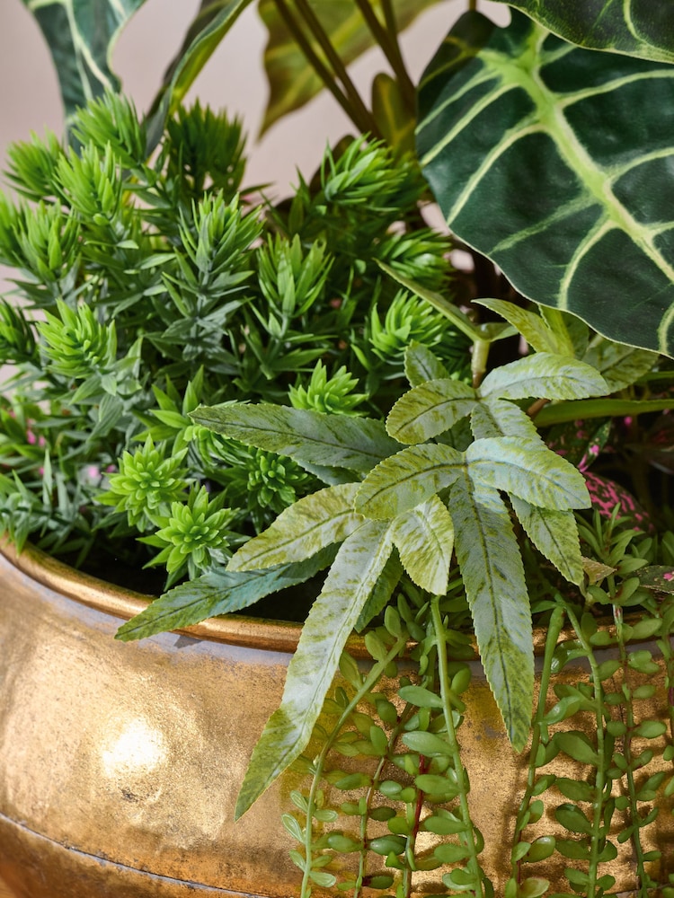 Green Artificial Succulent Arrangement - Image 2 of 4