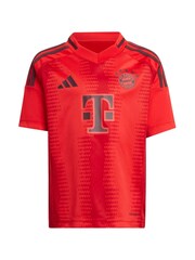adidas Red FC Bayern Home Minikit 2024-25 - Image 2 of 3