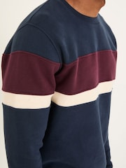 FatFace Brooke Navy Cut Sew Crew - Image 5 of 6