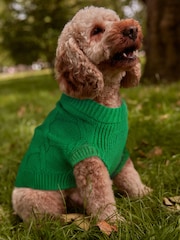 Dog Jumper - Image 1 of 7