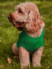 Dog Jumper - Image 2 of 7