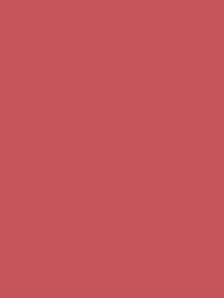 Cath Kidston Roses Bows Roses  Bows MultiSurface Emulsion 2.5L Paint - Image 3 of 3