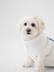 Gap White Knitted Pet Varsity Jumper - Image 2 of 4