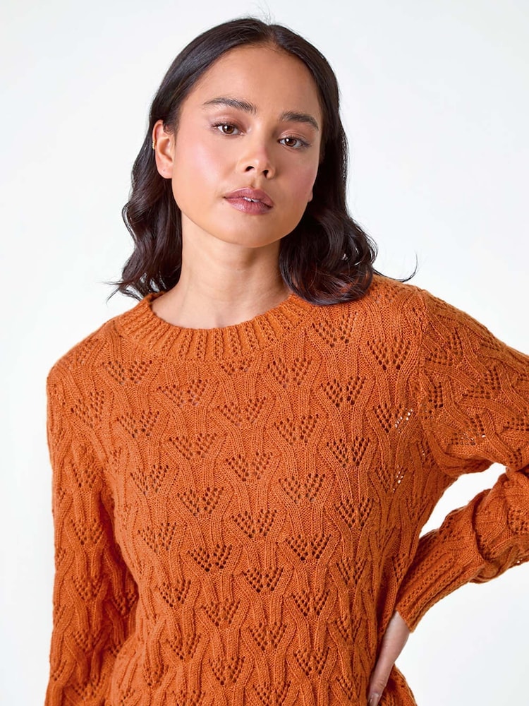Roman Orange Petite Crochet Knit Jumper - Image 4 of 5
