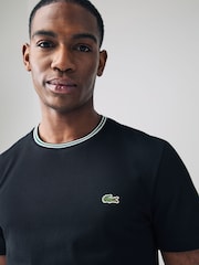 Lacoste Regular Fit Petit Pique T-Shirt - Image 3 of 5