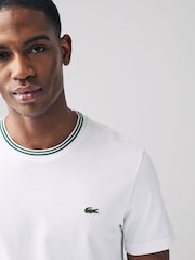 Lacoste Regular Fit Petit Pique T-Shirt - Image 3 of 5