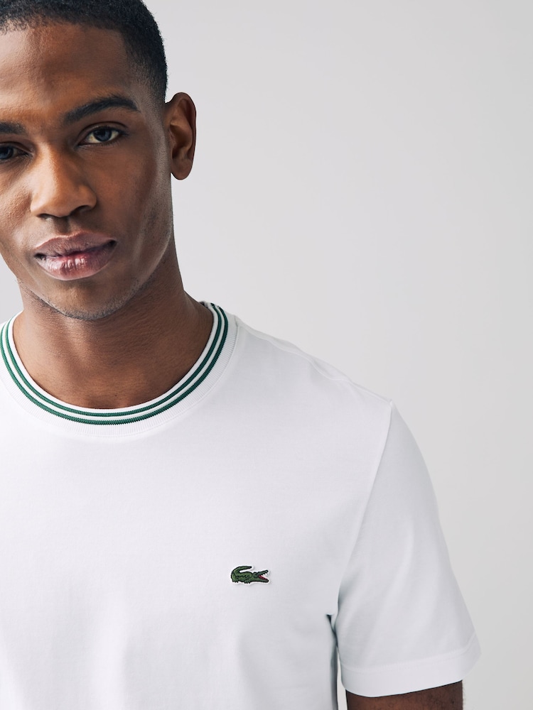 Lacoste Regular Fit Petit Pique T-Shirt - Image 3 of 5