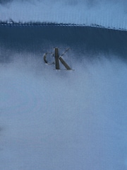 Calvin Klein Blue Shiny Cropped Puffer Jacket - Image 7 of 7