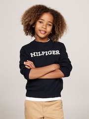 Tommy Hilfiger Blue Regular Fit Monotype Sweater - Image 1 of 5