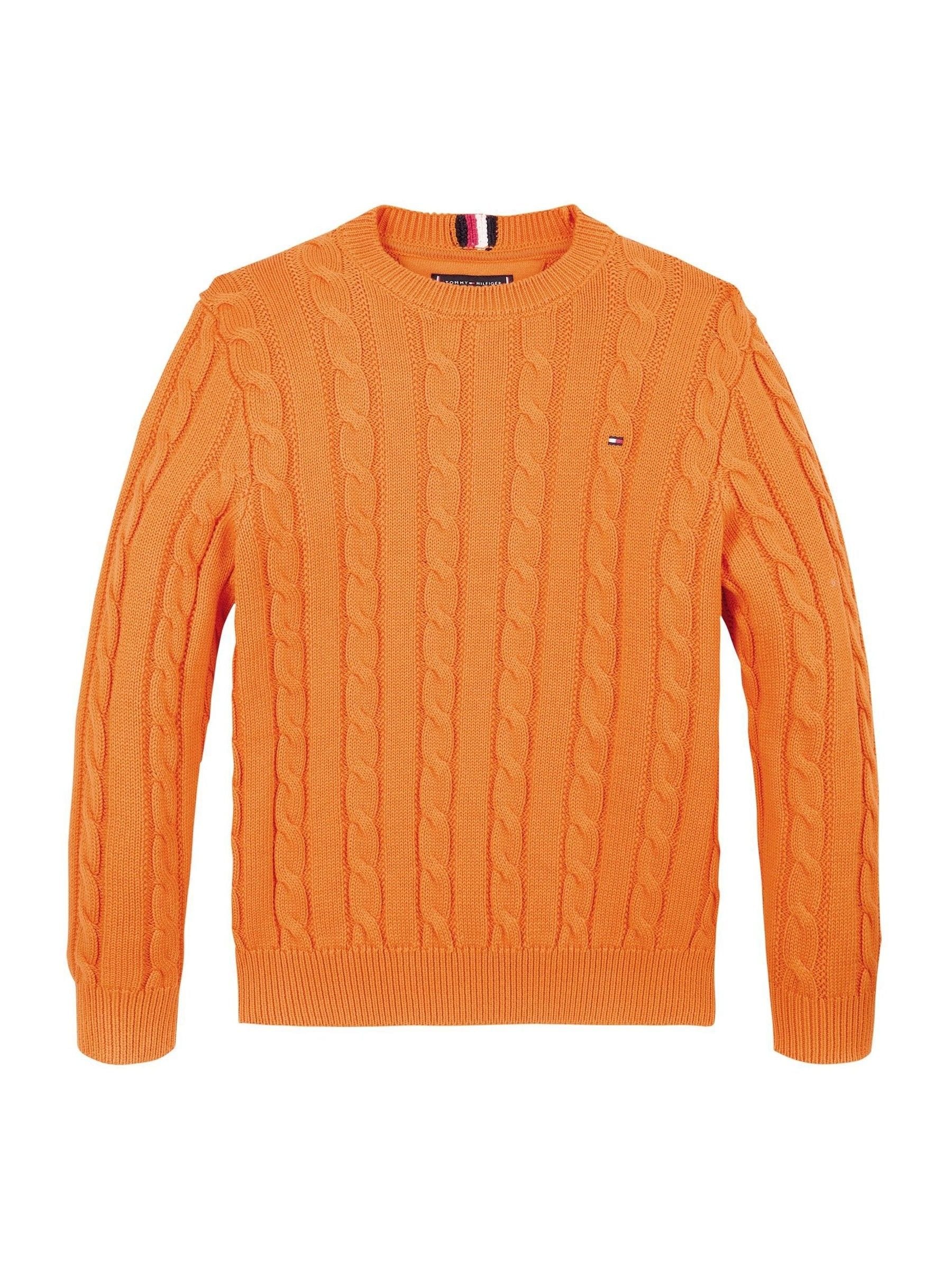 Buy Tommy Hilfiger Orange Regular Fitessential Cable 100 Cotton Sweater from Next USA