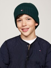 Tommy Hilfiger Green Small Flag Beanie - Image 1 of 6