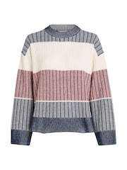 Tommy Hilfiger Blue Global Stripe All Over Sweater - Image 5 of 5