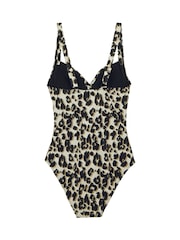 Regatta Brown Womens Sakari Tummy Control Costume Swimsuit - Image 8 of 8