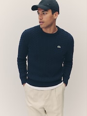 Suéter azul de punto trenzado en mezcla de algodón con cuello redondo de Lacoste - Imagen 1 de 6
