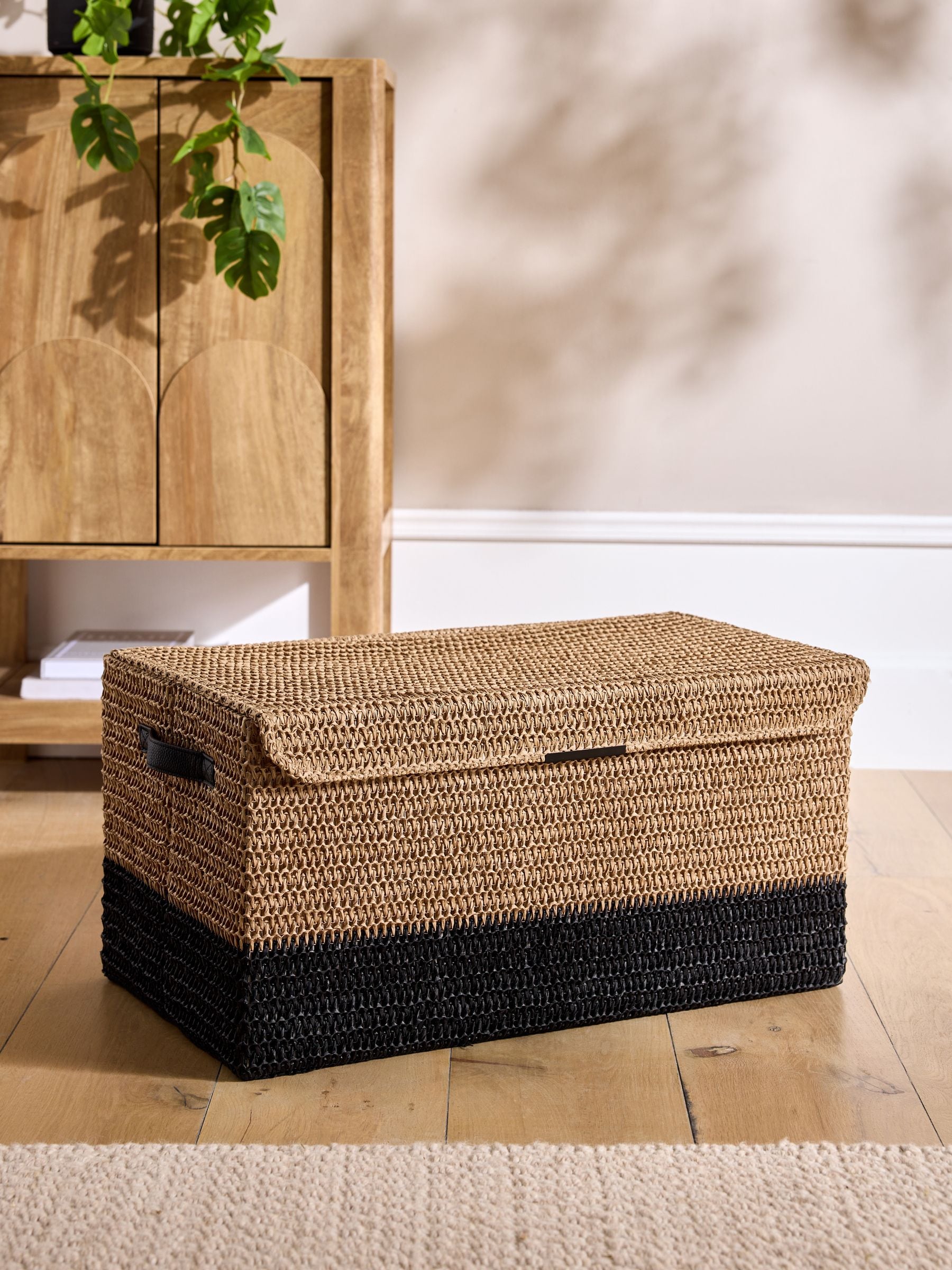 Neutral Bronx Lidded Storage Trunks