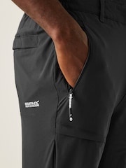 Regatta Grey Mens Highton Winter Walking Trousers - Image 4 of 7