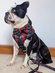Personalised Bear Hugs Adjustable Harness by RUFF - Image 2 of 4