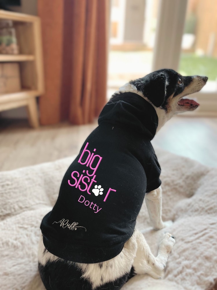 Personalised Big Sister Dog 100% Cotton Hoodie by RUFF - Image 1 of 5