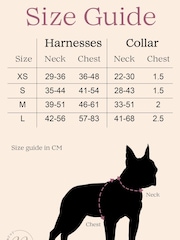 Personalised Bear Hugs Adjustable Harness by RUFF - Image 5 of 5