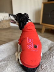 Personalised Big Sister Dog 100% Cotton Hoodie by RUFF - Image 1 of 5