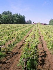 Virgin Experience Days Winery and Brewery Tour for Two with Tastings - Image 4 of 4