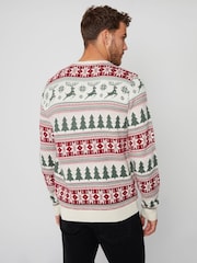 Threadbare Chocolate Brown Crew Neck Fairisle Pattern Christmas Jumper - Image 3 of 4
